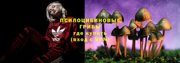 тгк Каменка
