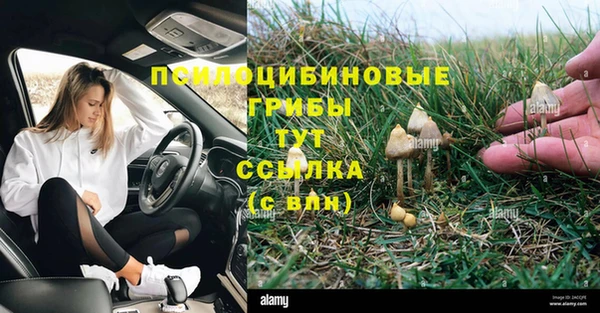 ECSTASY Каменногорск