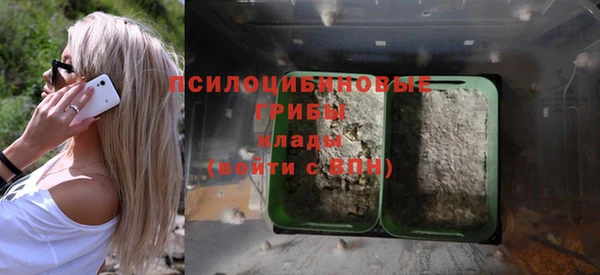 спиды Касимов