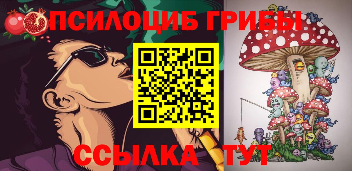 Псилоцибиновые грибы Psilocybine cubensis Сухой Лог